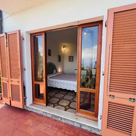 L'ortensia Del Poggio