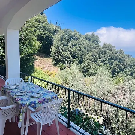 L'ortensia Del Poggio Daire Poggio (Livorno)