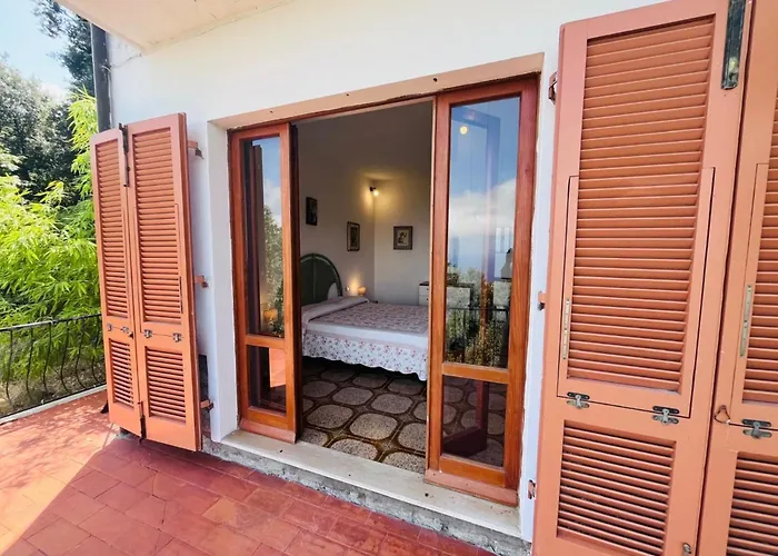 L'ortensia Del Poggio